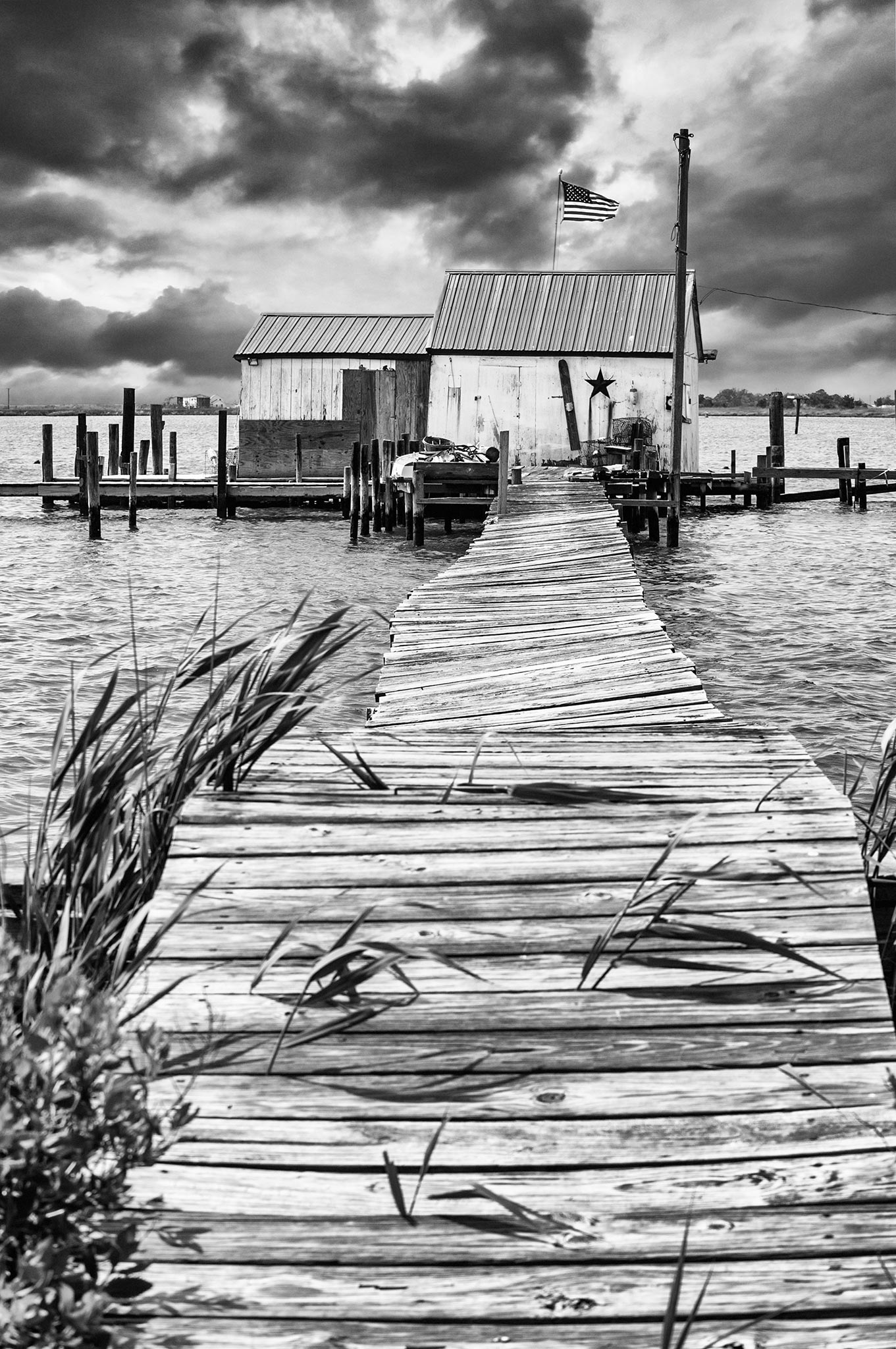 fine art prints luxurious